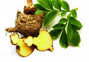 Glucomannane diabète