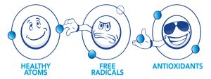 radicaux libres et antioxydants