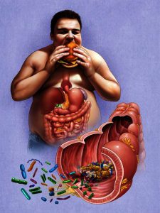 bactéries intestins
