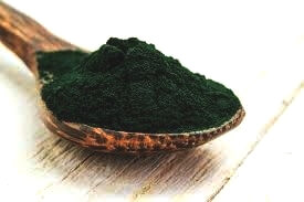 cuillère spiruline