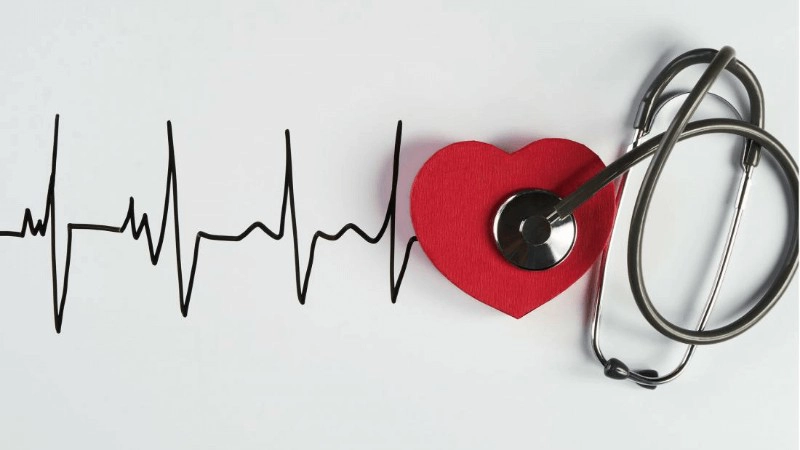 fréquence cardiaque