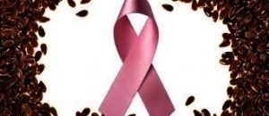 graine de lin et cancer