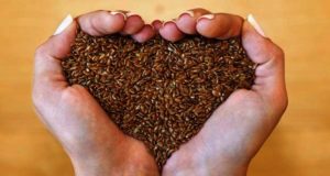 graine de lin et pression artérielle