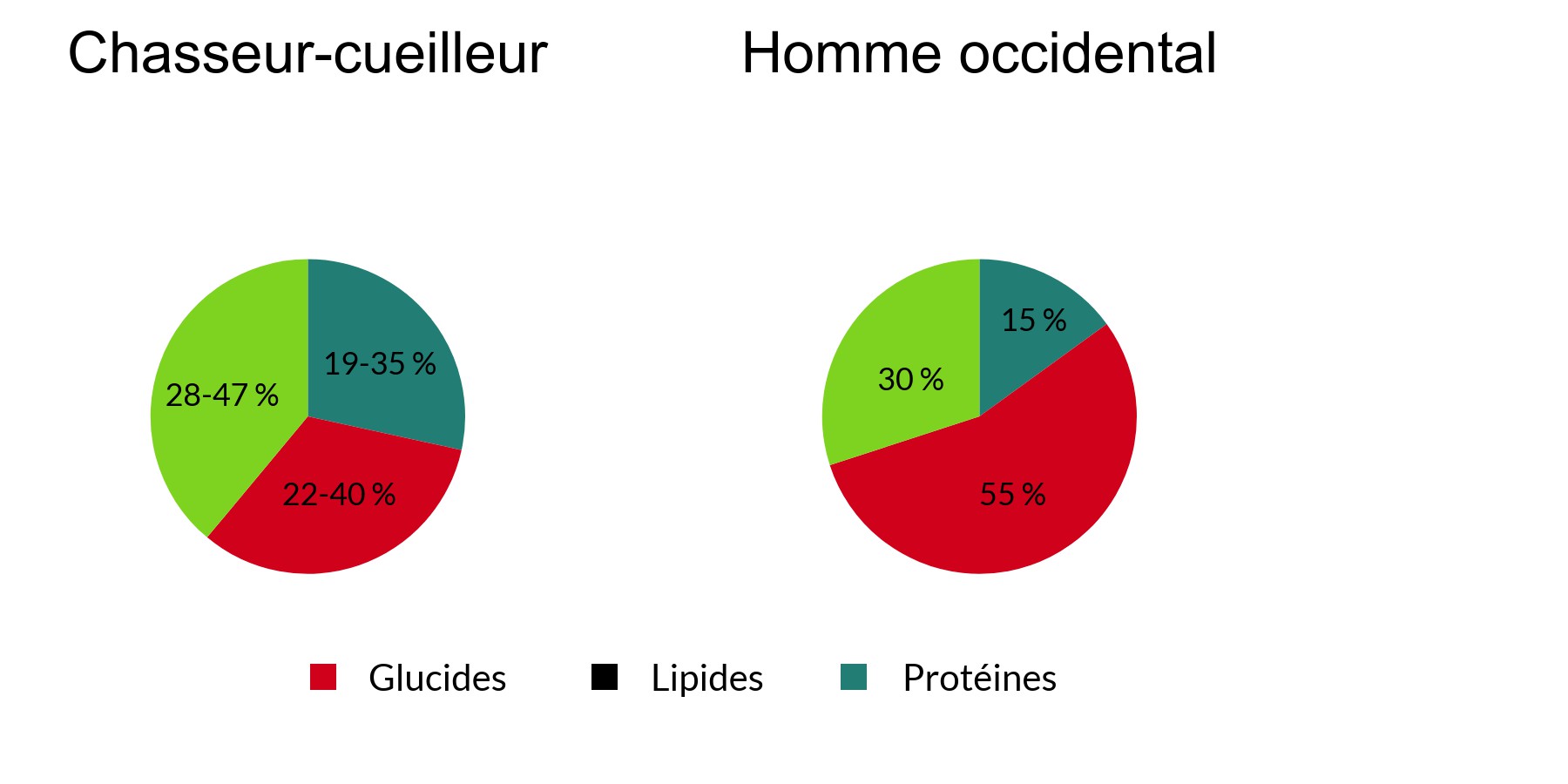 Alimentation homme primitif moderne