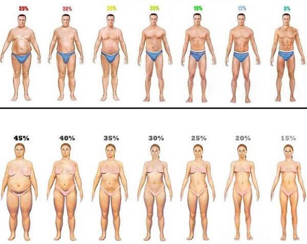 Calculer Sa Masse Grasse Le Meilleur Outil Homme Et Femme