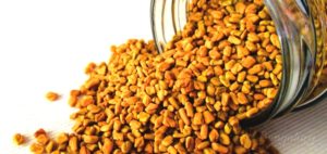 pot graines Fenugrec