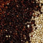8 Bienfaits Avérés Du Quinoa + 6 Recettes Délicieuses