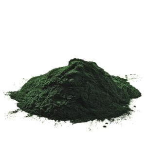 spiruline en poudre