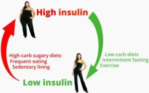 taux insuline bas